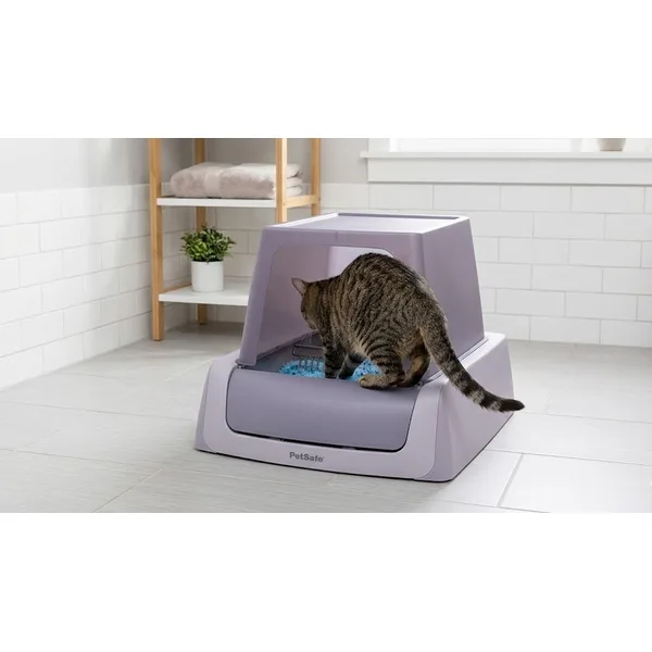 PetSafe ScoopFree Complete Plus in a modern home